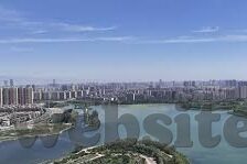怎么打森林舞会-怎么打森林舞会