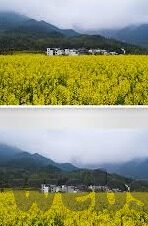 足球比分90极速-足球比分90极速，赛场风云瞬息万变，数据背后的热血与激情